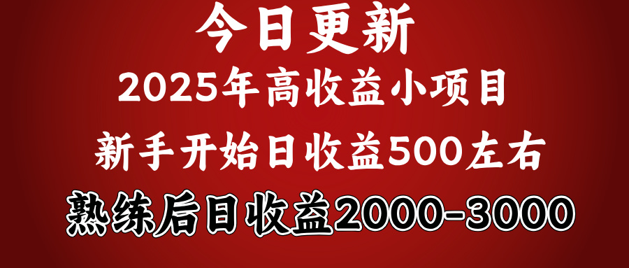 好项目一眼就能看出来，日收益1000，长久可做，2025拼的就是我比你勤奋-码豆资源站
