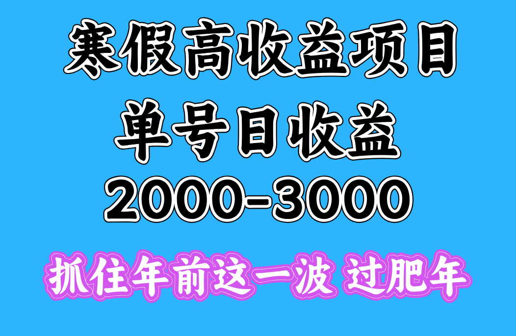 寒假期间一天收益2000-3000+，抓住年前这一波-码豆资源站