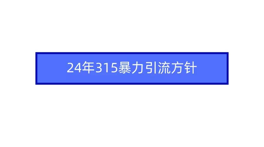2024年315暴力引流方针-码豆资源站