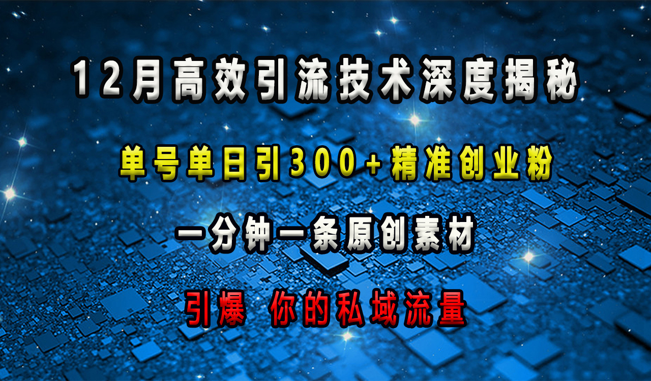 12月高效引流技术深度揭秘 ，单号单日引300+精准创业粉，一分钟一条原创素材，引爆你的私域流量-码豆资源站