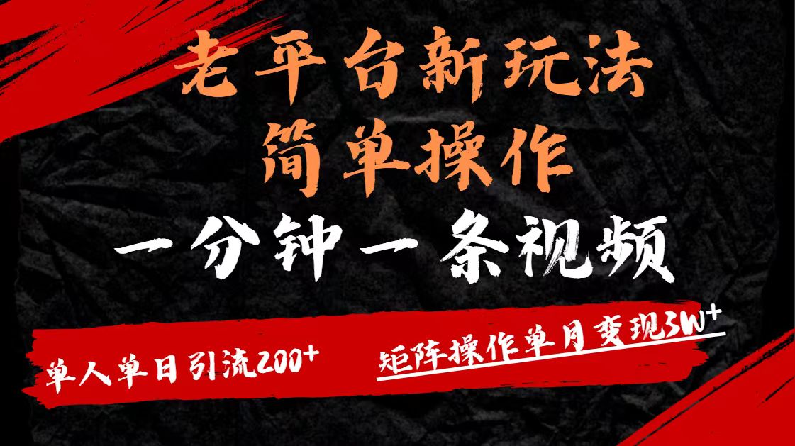 老平台，新玩法，简单操作，一分钟一条视频，单人单人引流200+矩阵操作，单月变现3W-码豆资源站