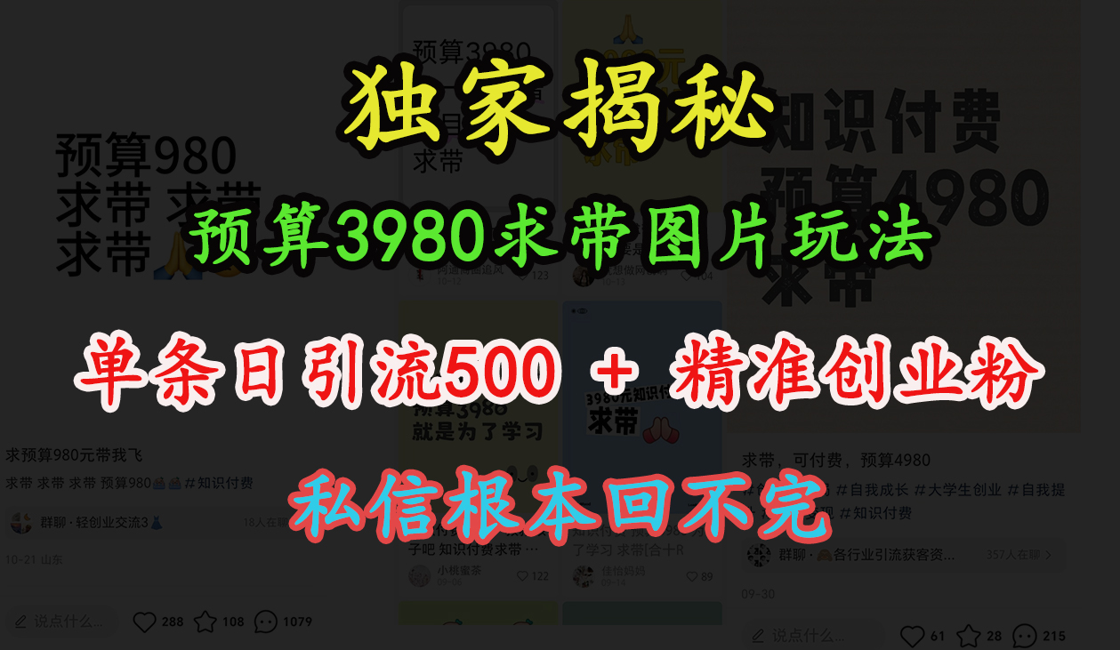 “小红书”预算3980求带 图片玩法，单条日引流500+精准创业粉，私信根本回不完-码豆资源站