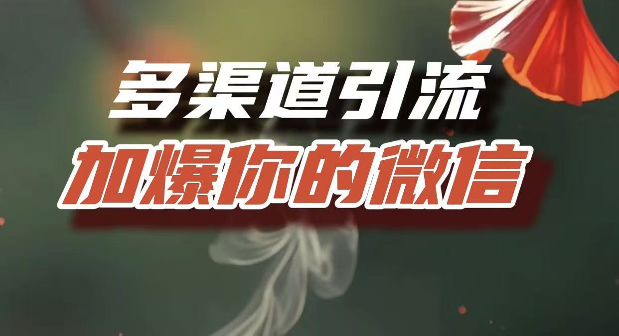 多渠道引流，加爆你的微信，把流量导入到私域，这是每一个想要在互联网赚钱的人必须掌握的底层能力-码豆资源站