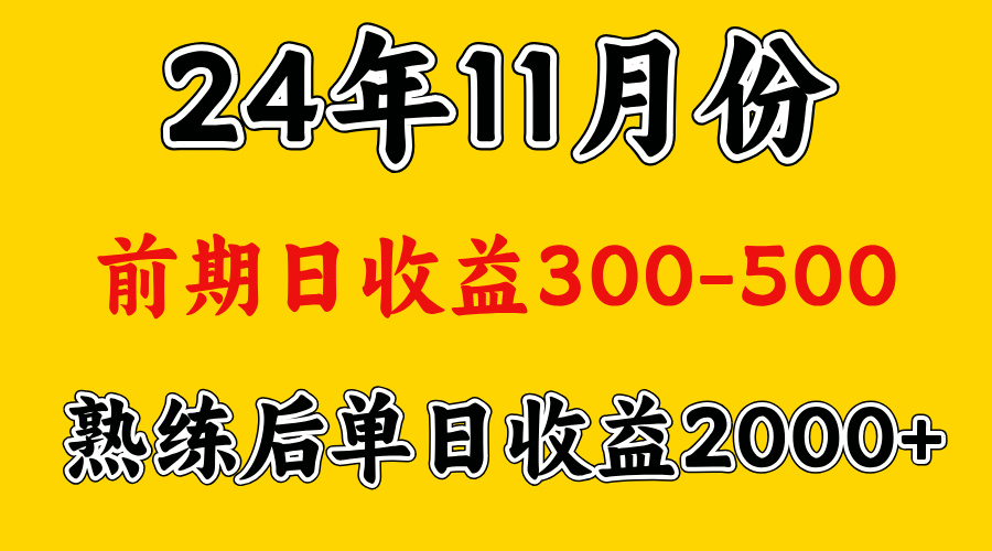 轻资产项目，前期日收益500左右，后期日收益1500-2000左右，多劳多得-码豆资源站