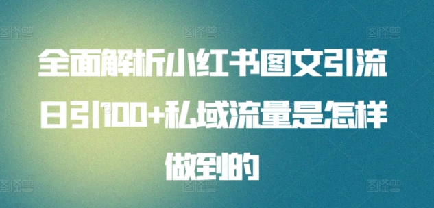 全面解析小红书图文引流日引100私域流量是怎样做到的-码豆资源站