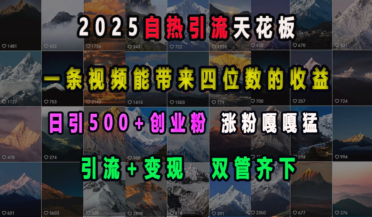 2025自热引流天花板，一条视频能带来四位数的收益，引流+变现双管齐下，日引500+创业粉，涨粉嘎嘎猛-码豆资源站