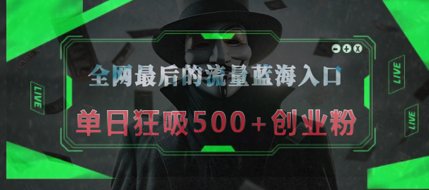 全网最后的流量蓝海入口，半小时引流50+创业粉，单日狂吸500+创业粉-码豆资源站