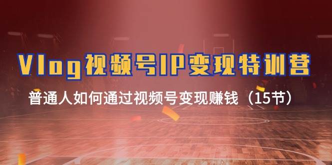 Vlog 视频号IP变现特训营，普通人如何通过视频号变现赚钱（15节）-码豆资源站