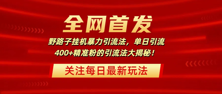 全网首发，野路子挂机暴力引流法，单日引流400+精准粉的引流法大揭秘！-码豆资源站