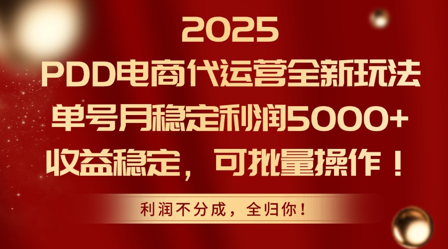 2025 PDD电商代运营全新玩法，单号月稳定利润5000+，收益稳定，可批量操作！-码豆资源站