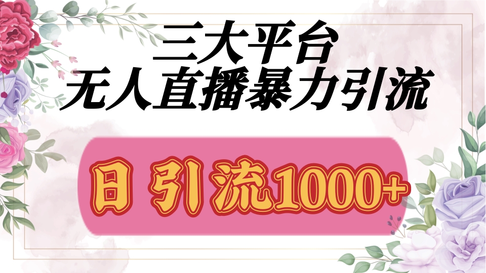 抖音,快手,视频号全平台通用,无人直播引流法,利用图片,模板,整套话术挂机全天支持矩阵操作,无限设备多开,超暴力引流,1000+高质量精准创业粉-码豆资源站