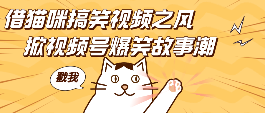 借猫咪搞笑视频之风，掀视频号爆笑故事潮，轻松日赚四位数，开启无门槛赚钱新体验！-码豆资源站