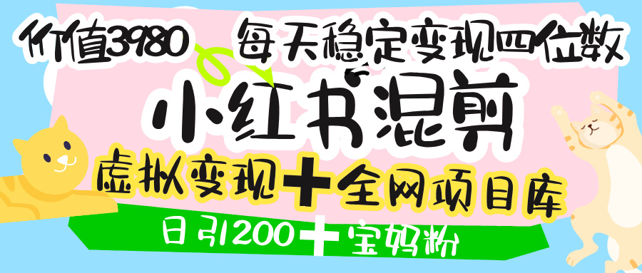 价值3980的小红书混剪， 虚拟变现 ＋全网项目库 ， 日引200+宝妈创业粉，每天稳定四位数变现-码豆资源站
