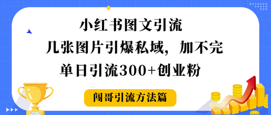 小红书图文引流，几张图片引爆私域加不完，单日引流300＋创业粉-码豆资源站
