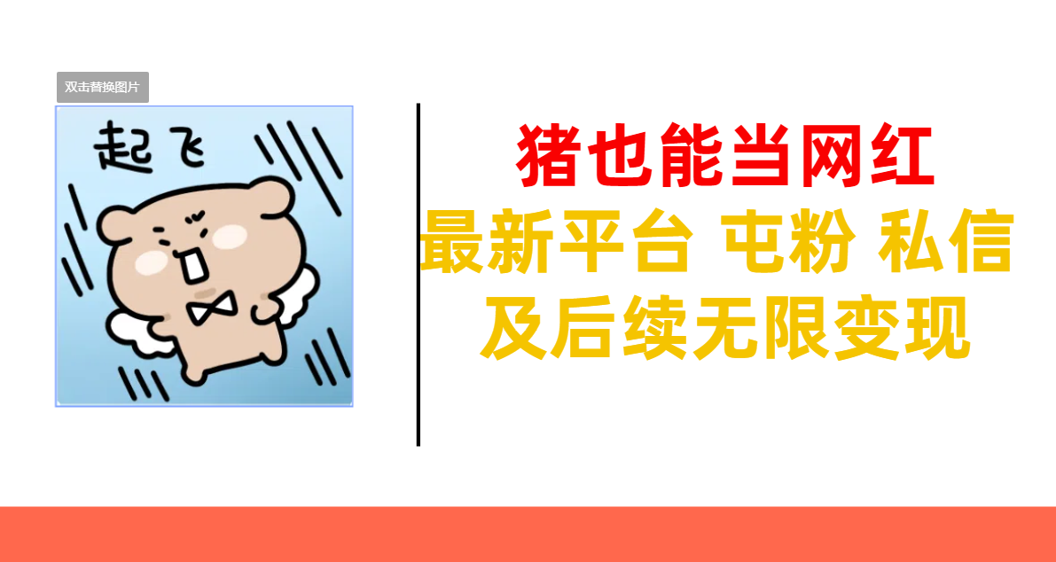 猪也能当网红-最新平台 屯粉 交流 私信 及后续无限变现-码豆资源站