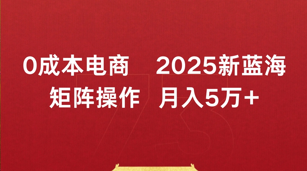 0成本电商2025新蓝海矩阵操作 月入5万+-码豆资源站