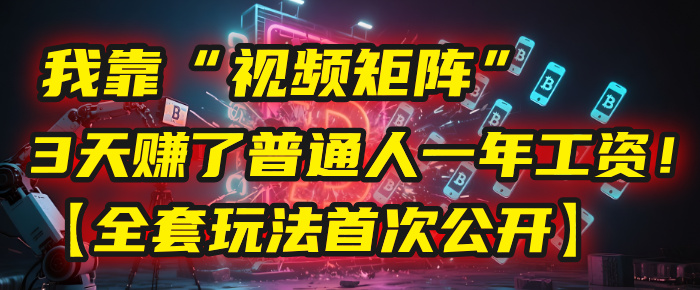 我靠“视频矩阵”,3天赚了普通人一年工资!【全套玩法首次公开】-码豆资源站