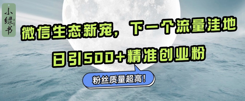 微信生态新宠小绿书:下一个流量洼地,粉丝质量超高,日引500+精准创业粉,-码豆资源站