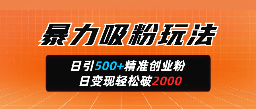 暴力吸粉玩法，日引500+精准创业粉，日变现轻松破2000-码豆资源站