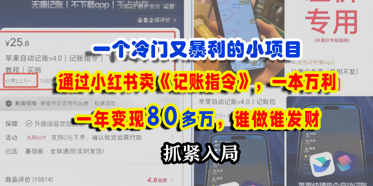 一个冷门又暴利的小项目，通过小红书卖《记账指令》，一本万利，一年变现80多万，谁做谁发财-码豆资源站