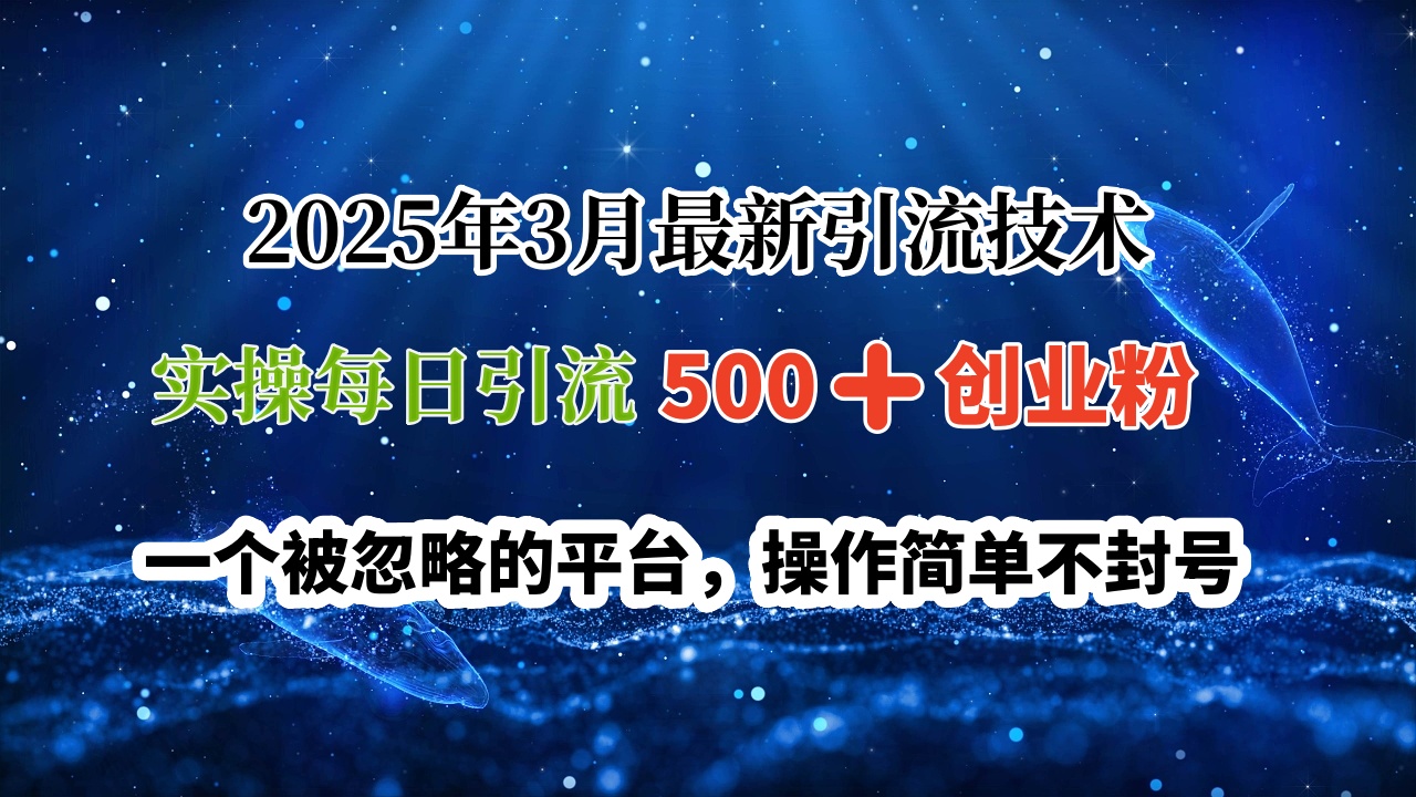 2025年3月最新引流技术，实操每日引流500➕创业粉，一个被忽略的平台，操作简单不封号-码豆资源站