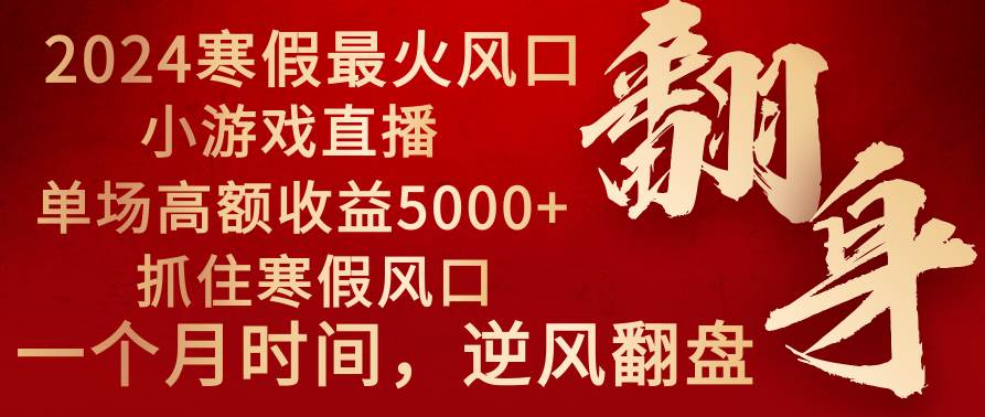 2024年最火寒假风口项目 小游戏直播 单场收益5000+抓住风口 一个月直接提车-码豆资源站