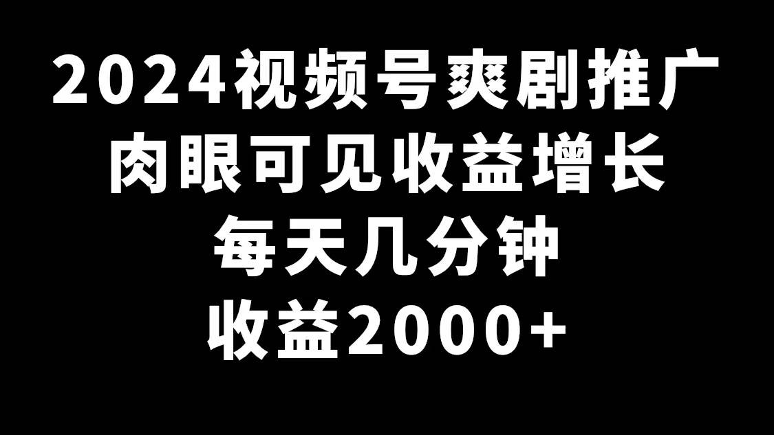 2024视频号爽剧推广，肉眼可见的收益增长，每天几分钟收益2000+-码豆资源站