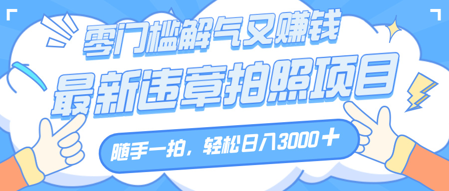解气又赚钱的项目,随手一拍,轻松收入3000+,最新违章拍照赚钱-码豆资源站