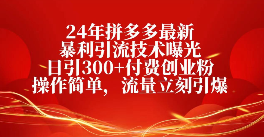 25年拼多多最新暴利引流技术曝光、日引300+付费创业粉操作简单,流量立刻引爆-码豆资源站