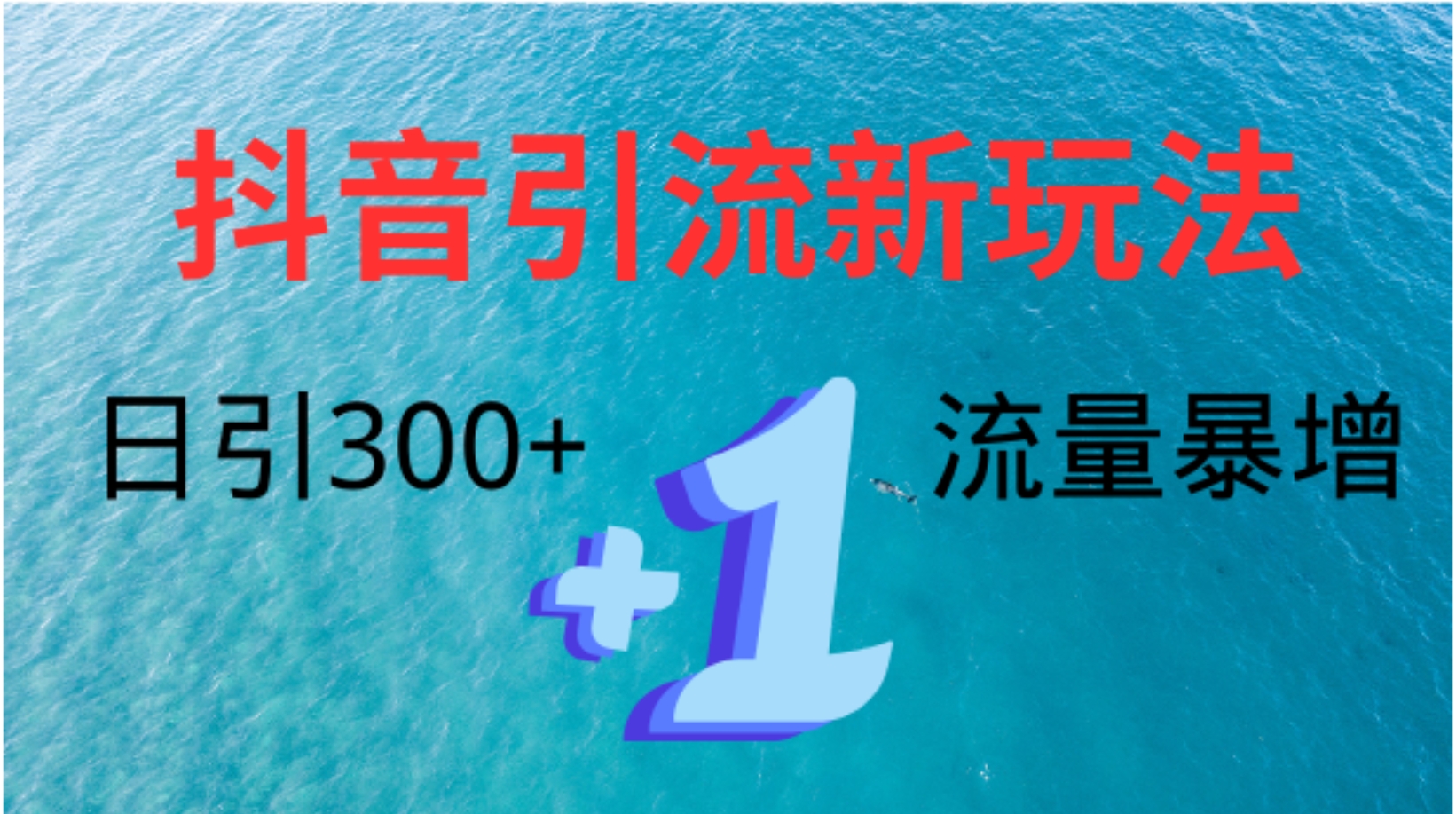 创业粉高效引流，抖音工具号玩法4.0，日引300+-码豆资源站