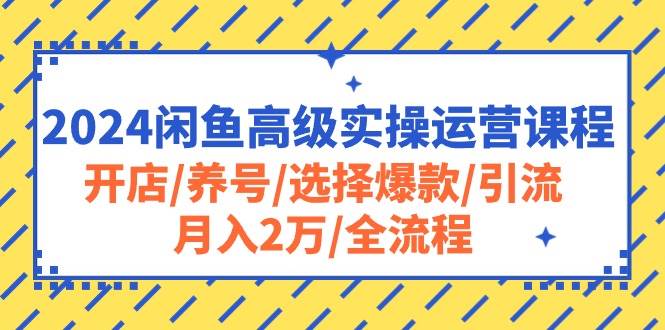 2024闲鱼高级实操运营课程：开店/养号/选择爆款/引流/月入2万/全流程-码豆资源站