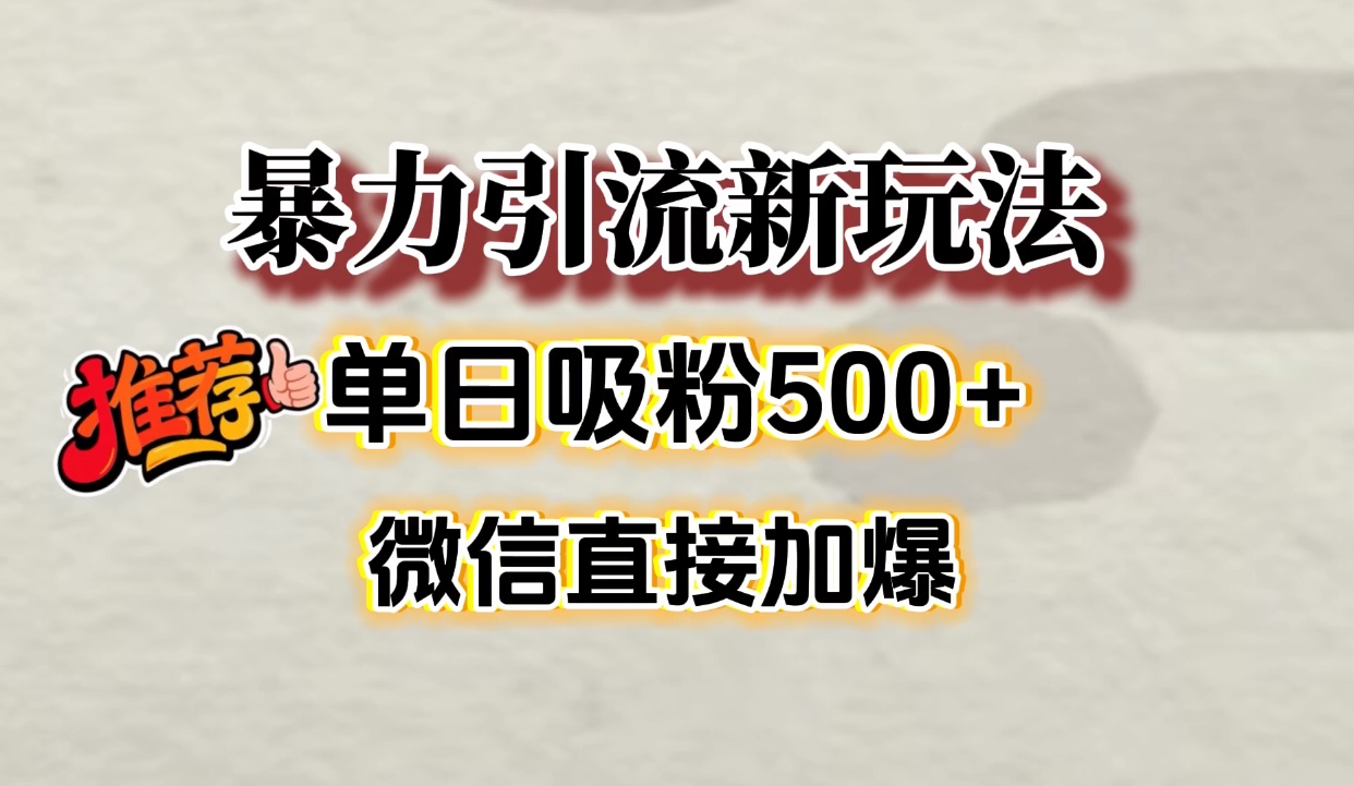 微信加爆的引流超级方法,单日吸粉500➕-码豆资源站