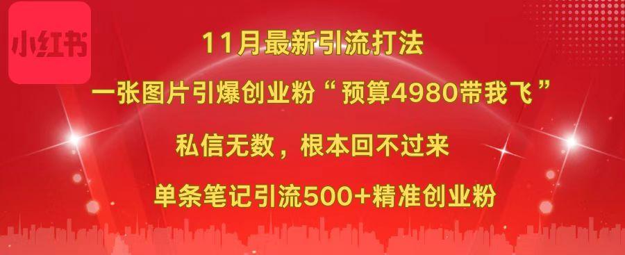 小红书11月最新图片打法，一张图片引爆创业粉“预算4980带我飞”，私信无数，根本回不过来，单条笔记引流500+精准创业粉-码豆资源站