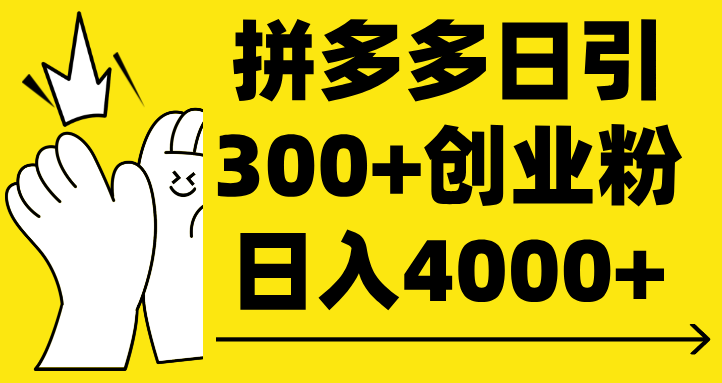 拼多多日引300+创业粉 日入4000+-码豆资源站