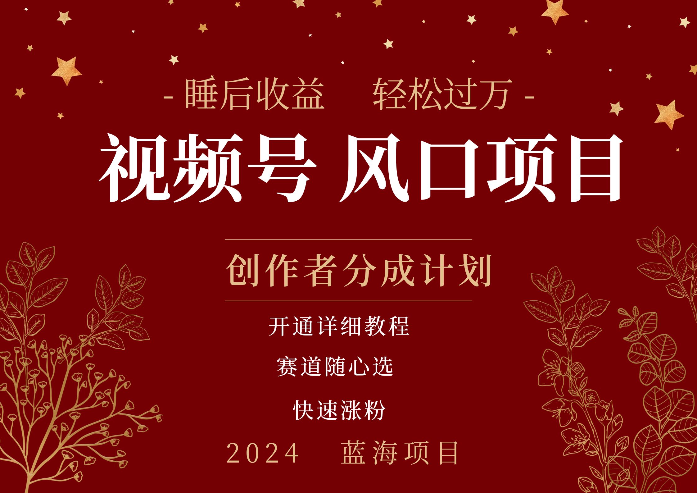 拥有睡眠收益的微信视频号大风口项目，轻松月入过万+，多赛道选择，可矩阵，玩法简单轻松上手-码豆资源站