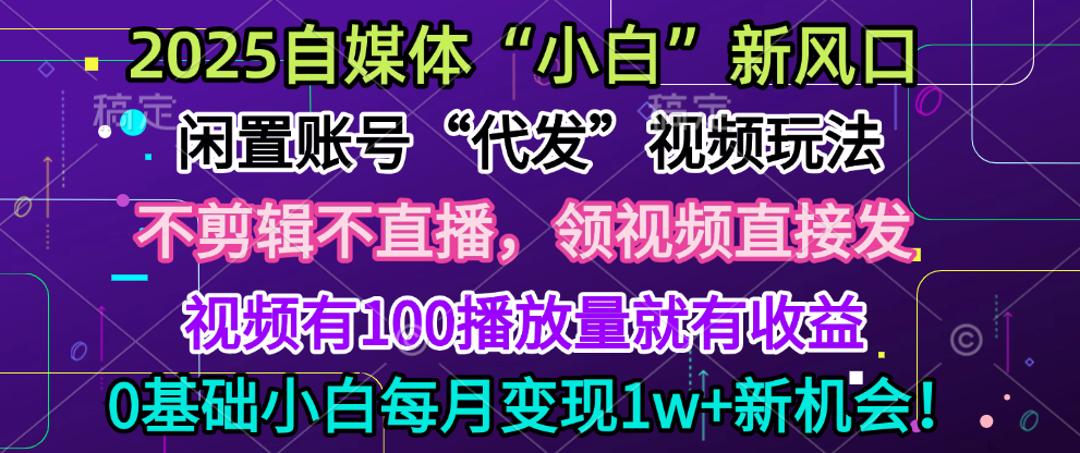 2025每月躺赚5w+新机会，闲置视频账号一键代发玩法，0粉不实名不剪辑，领了视频直接发，0基础小白也能日入300+-码豆资源站