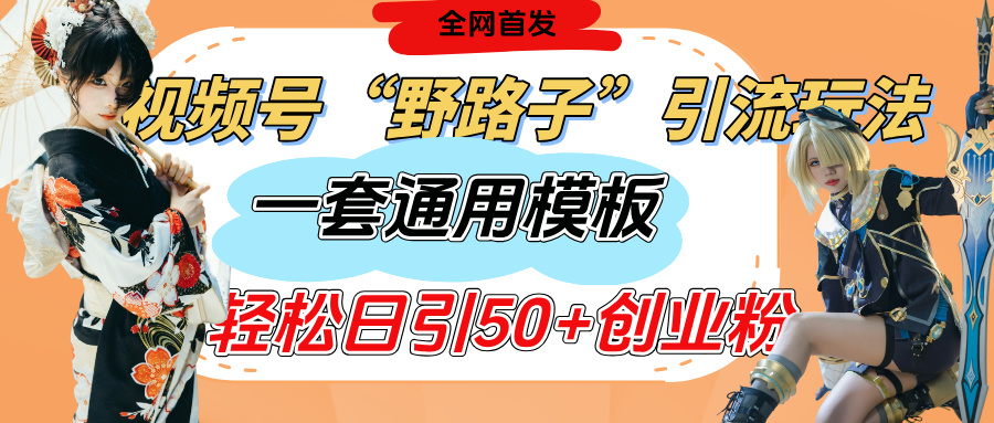 视频号“野路子”玩法，评论区疯狂截流，一套模板单日单号引流50+创业粉-码豆资源站