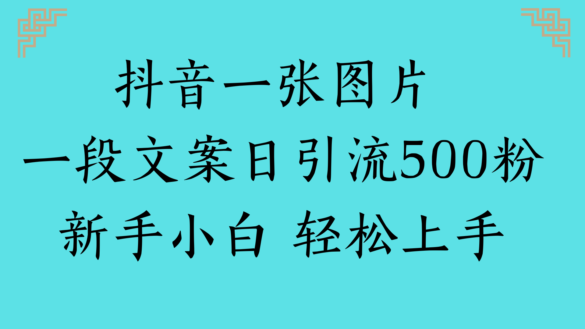 抖音一张图片 一段文案日引流500粉新手小白 轻松上手-码豆资源站