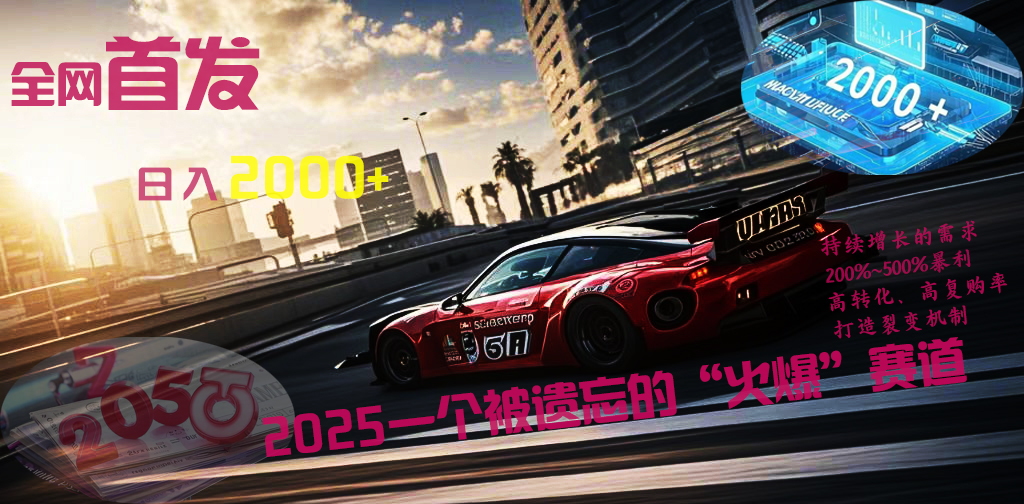 全网首发：2025一个被遗忘的“火爆”赛道轻松日入2000+-码豆资源站