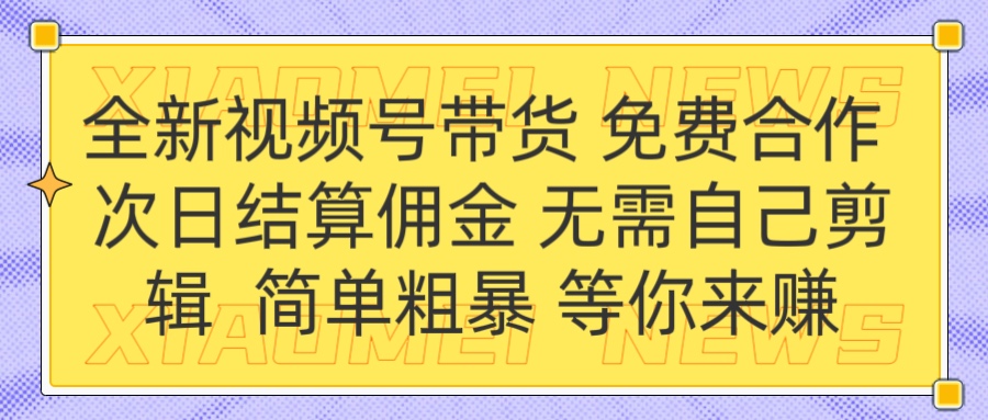 全新视频号 免费合作 佣金次日结算 无需自己剪辑-码豆资源站