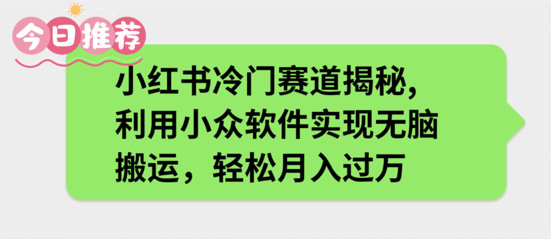 小红书冷门赛道揭秘,利用小众软件实现无脑搬运，轻松月入过万-码豆资源站