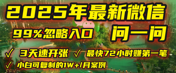 2025年,被99%的人忽视的微信问一问:每天写300字,最快3天就能“开张”赚到第一笔钱,有人已稳定月入1W+!-码豆资源站