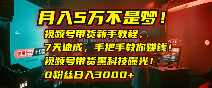 月入5万不是梦！视频号带货新手教程，7天速成，手把手教你赚钱！视频号带货黑科技曝光！0粉丝日入3000+-码豆资源站