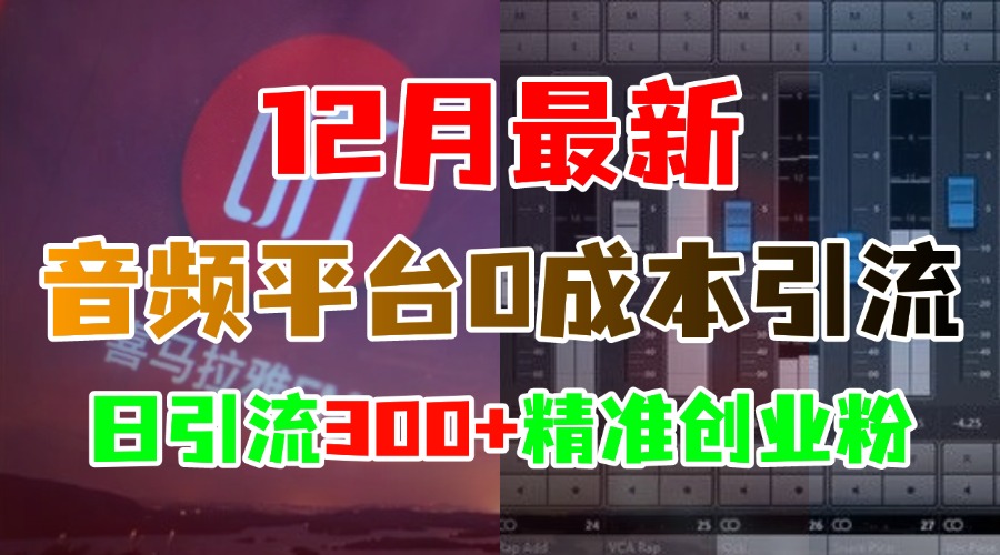 12月最新：音频平台0成本引流，日引300+精准创业粉-码豆资源站