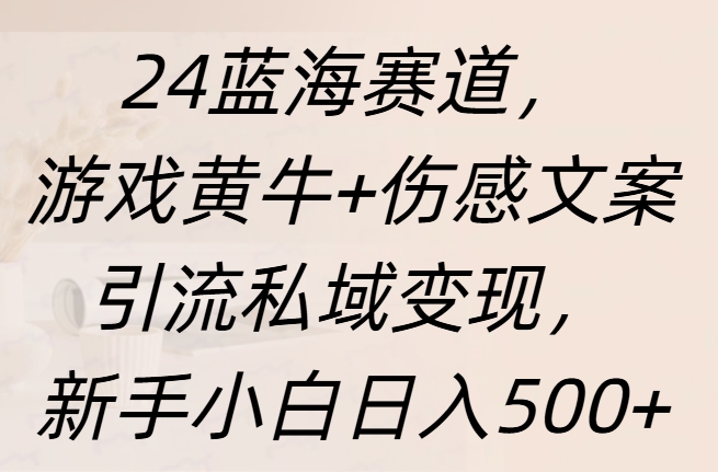 24蓝海赛道,游戏黄牛+伤感文案引流私域变现,新手日入500+-码豆资源站