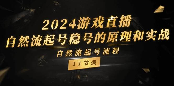 2024游戏直播-自然流起号稳号的原理和实战，自然流起号流程（11节）-码豆资源站