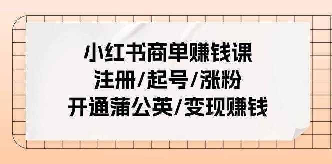 小红书商单赚钱课：注册/起号/涨粉/开通蒲公英/变现赚钱（25节课）-码豆资源站