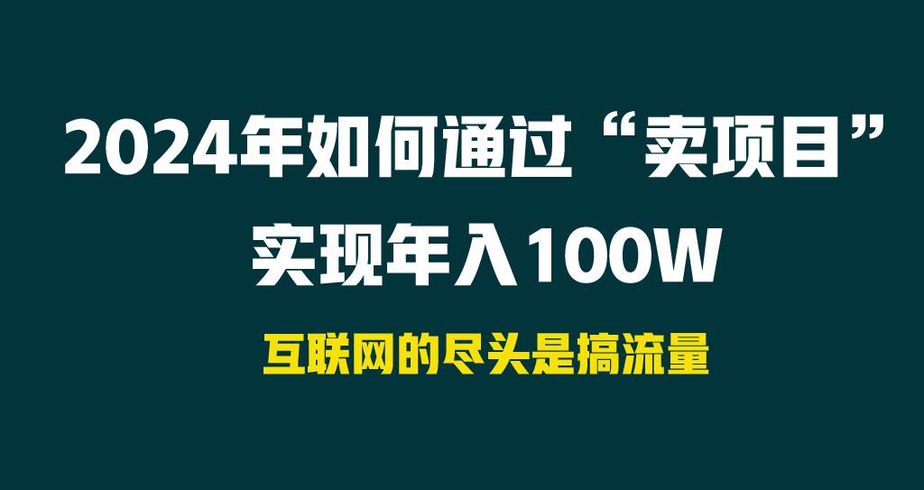 2024年如何通过“卖项目”实现年入100W-码豆资源站