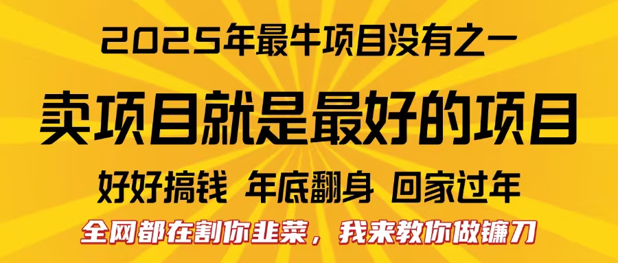 全网都在割你韭菜，我来教你做镰刀。卖项目就是最好的项目，2025年最牛互联网项目-码豆资源站