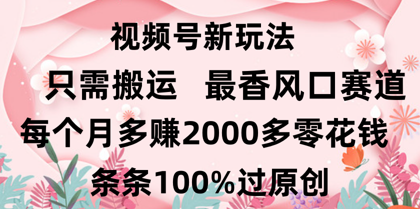 日入2000+，条条100%过原创，视频号最香风口赛道，小白轻松上手-码豆资源站